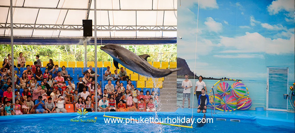 โชว์ปลาโลมาภูเก็ต Phuket Dolphin Show 1 วัน ราคาถูก
